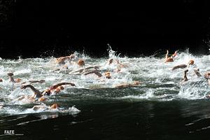 DSC_6516A.jpg