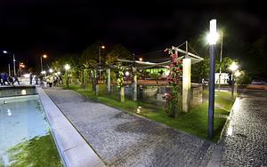 dsc_9774.jpg
