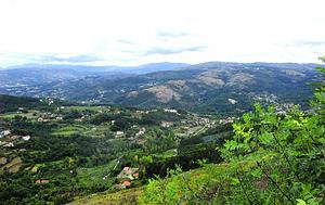 imagem_260_01.jpg