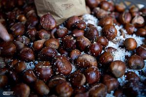 314494559_495328029295285_8490101509102942826_n.jpg
