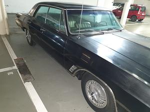 WhatsApp Image 2026-02-11 at 16.35.16.jpeg