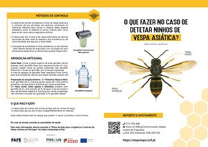 vespavelutina_booklet-1.jpg