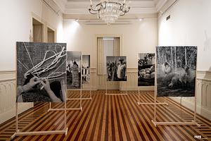 CMF_8877A.jpg