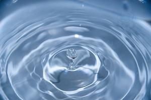 david-becker-rrfdqjJWwmU-unsplash (1).jpg
