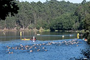 DSC_6383A.jpg