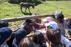 850_4198A.jpg