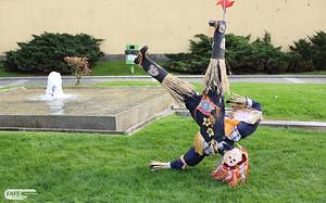 WhatsApp Image 2023-03-23 at 09.25.17.jpeg