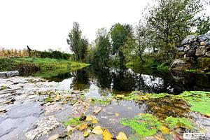 rio-vizela.jpg