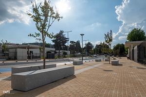 20230913-CMF_7424.jpg