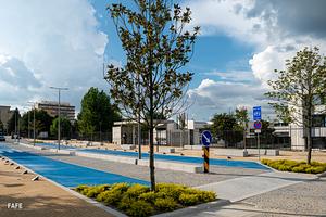 20230913-CMF_7477.jpg