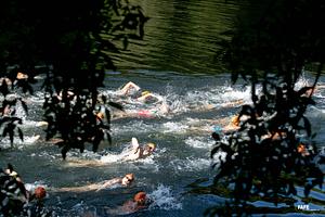 DSC_6372A.jpg