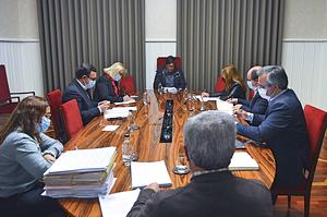 reuniaocamara11jan.jpg