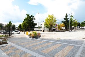 20230913-CMF_7483.jpg