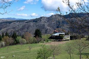 850_4182A.jpg