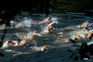 DSC_6374A.jpg