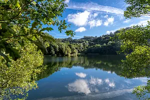 NZ2_3929.webp