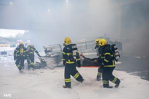 CMF_7532.jpg