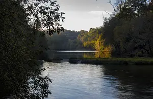 DSA_6985.webp