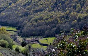 500_5187.jpg