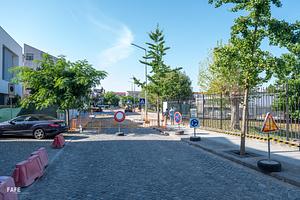 20230823-CMF_6133.jpg