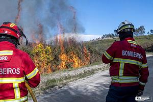 Fogo controlado.jfif