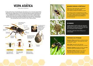 vespavelutina_booklet-2.jpg